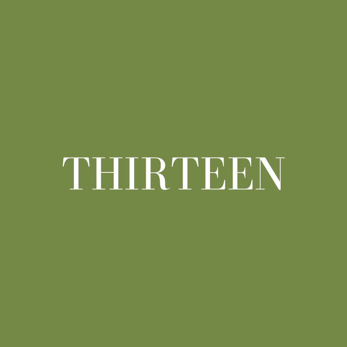 THIRTEEN 